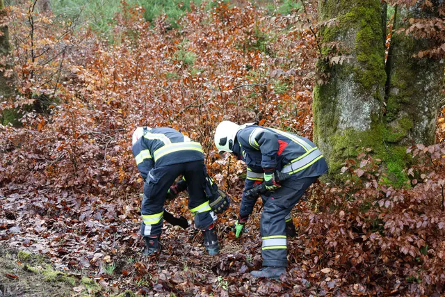 Foto: Daniel Scharinger