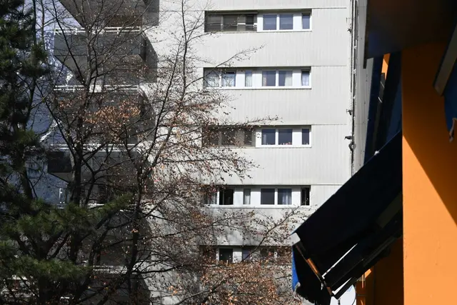 Wer findet das echte Tier? Die Tauben sind unbeeindruckt von den Raben-Attrappen. | Foto: Königer
