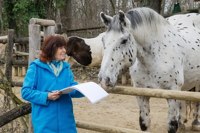 Margit König und Noriker | Foto: Daniel Zupanc