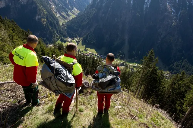 Aufforstung des Schutzwaldes in den Steilhängen des Forstreviers Hinteres Zillertal. | Foto: oebf/Wolfgang Simlinger