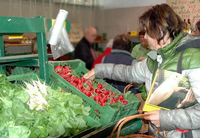 Im Bezirk Horn beobachten Experten der Arbeiterkammer zunehmend Fälle, bei denen ältere Dienstnehmerinnen unter Druck geraten. | Foto: Privat