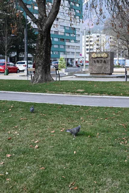 Foto: Königer