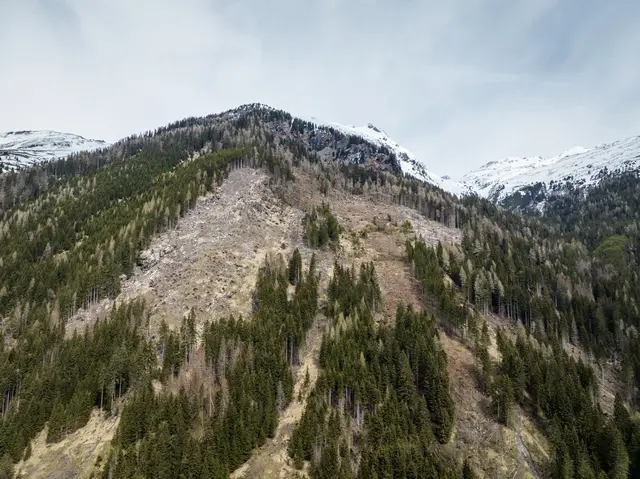 Wiederaufforstung mit Drohnen um Obervellach. | Foto: oebf/Gert Perauer