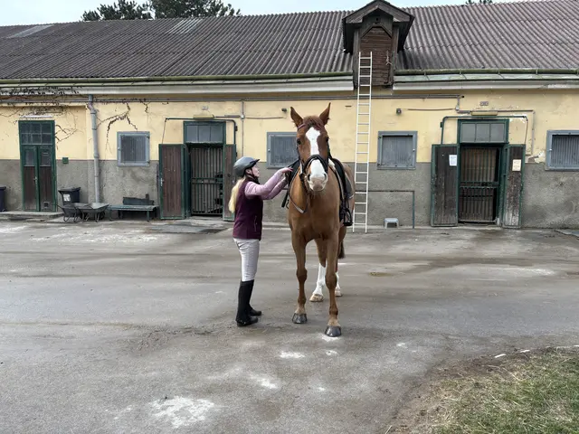Marele Sladek kurz vor dem Aufsteigen auf Pferd Ohgy. | Foto: Mathias Kautzky/MeinBezirk