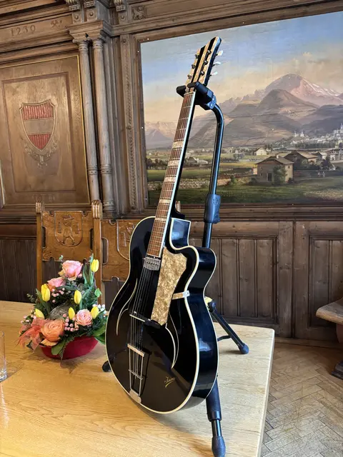 Eine Orginal-Gitarre von Elvis Presley.  | Foto: Theresa Vogl