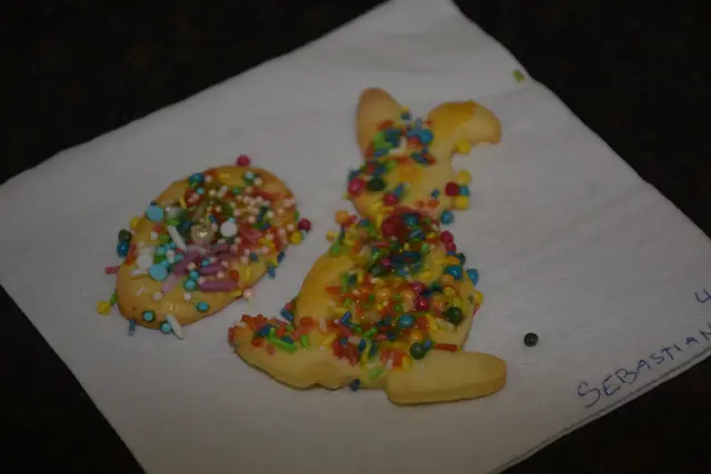 Zum großen Frühlingsfest mit dem Osterhasen luden die Direktorin der Volksschule Pabneukirchen Doris Kurus und ihr Lehrerteam. Mit dabei Seniorenbund, Elternverein und Kindergarten. | Foto: Zinterhof
