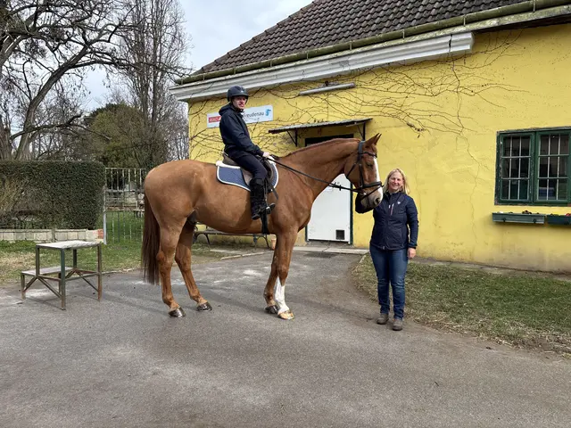 Trainerin Susanne Müller mit Andreas Schwach, der auf Hengst Bigi reitet. | Foto: Mathias Kautzky/MeinBezirk