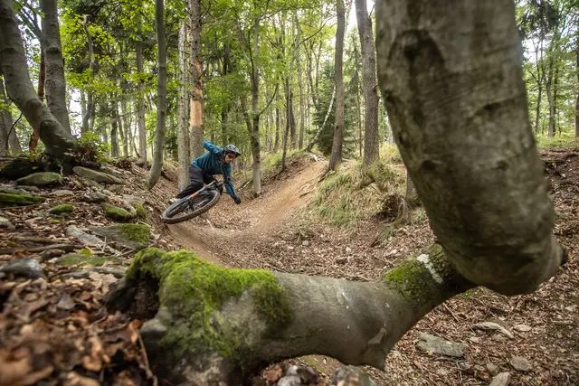 Am 21. März startet die Rad- und Mountainbikesaison rund um den Geschriebenstein. | Foto: Erwin Haiden