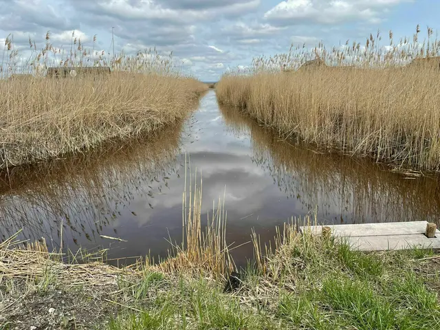 Wie steht es um den Wasserstand am Neusiedler See und wie gut ist er auf einen trockenen, heißen Sommer vorbereitet? | Foto: Franz Tscheinig