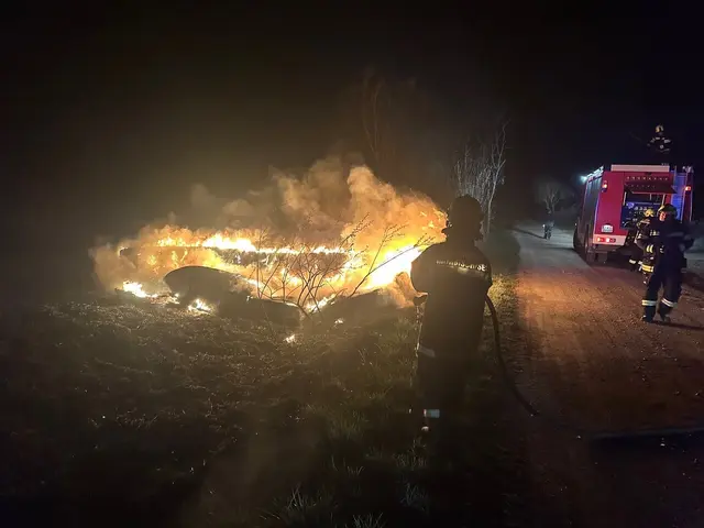 Zwei im Schilf gelagerte Zillen standen beim Eintreffen bereits in Vollbrand. | Foto: FF Mörbisch