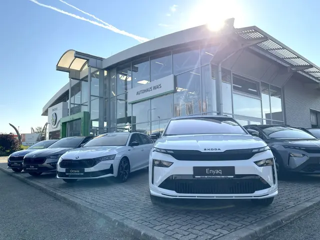 Seit 30 Jahren: Im Škoda Schauraum des Autohaus Wais kann man sich über die neuesten Modelle informieren. | Foto: Autohaus Wais