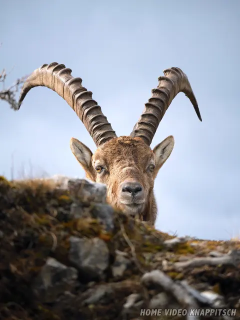 Foto: Hubert Knappitsch