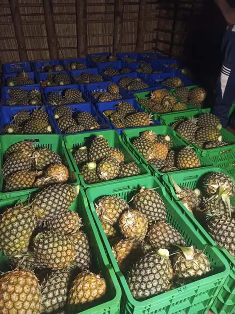 Foto: Dr. Daniel Neyer überreicht Andreas Seeburger einen großen TWIGA-FRUITS Produkte Korb für eine Großfamilie in Vorarlberg, betreut von der Hilfsorganisation Stunde des Herzens.