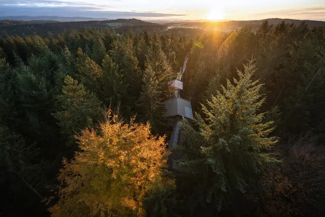 Der Wald in seiner ganzen Tiefe wird zum Erlebnisraum. | Foto: Waldentdeckerwelt