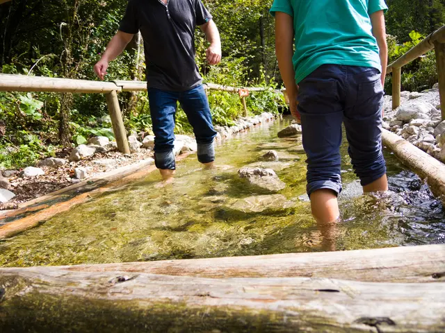 Foto: stockadobe/Richard 