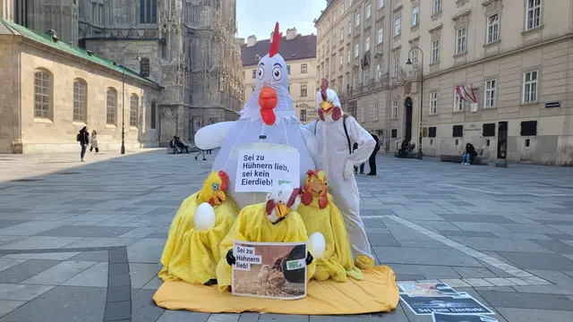 In einem großen Hühnerkostüm macht der VGT auf Missstände bei Legehennen am Stephansplatz aufmerksam. | Foto: VGT