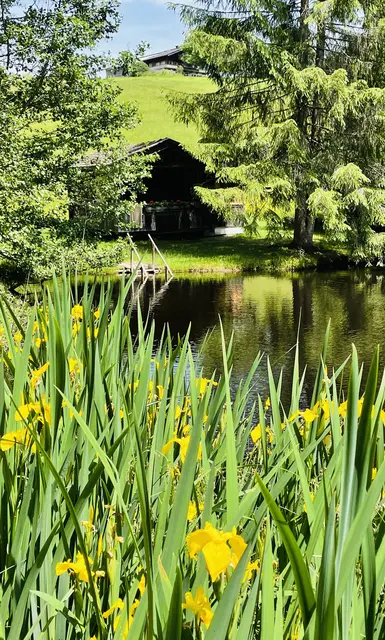 Auf der Bichlach-Runde gibt es viele schöne Naturschauplätze. | Foto: Klaus Kogler