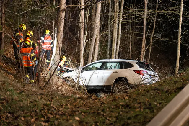 Foto: FOTOKERSCHI / MARTIN SCHARINGER