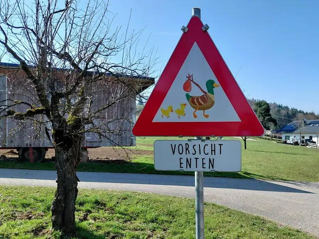 Foto: H.Bachinger