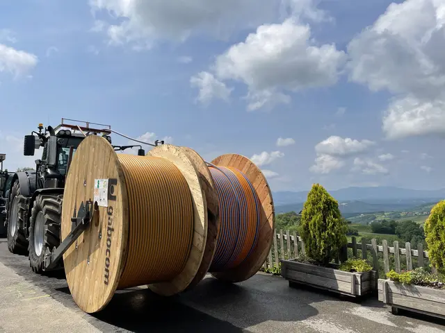 Die ersten Gemeinden in Leibnitz sind schon flächendeckend mit Breitband versorgt. | Foto: MeinBezirk/Brigitte Gady