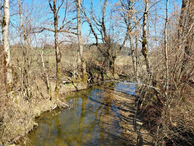Wenger Moor  | Foto: H.Bachinger