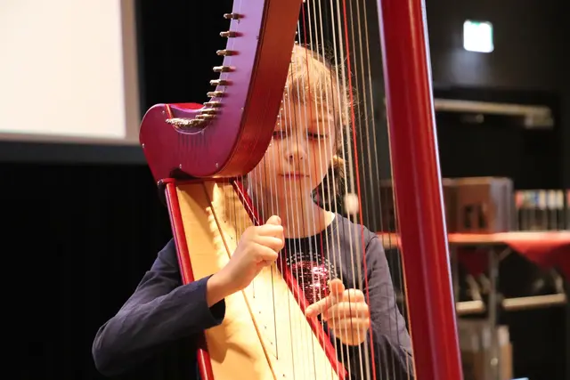 Auf der Harfe stimmte Eva Feyertag auf den Festakt ein.  | Foto: Edith Ertl