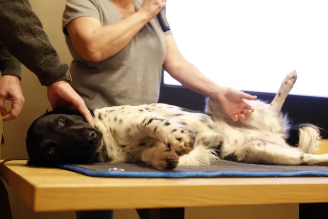 Foto: Andreas Tauser