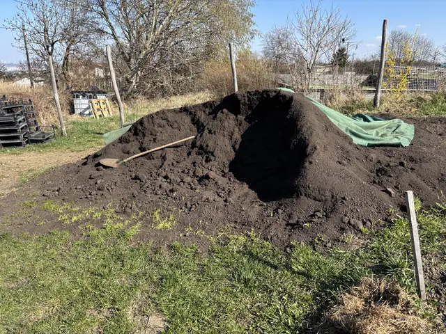 Herkömmlicher Dünger wird in der Marktgärtnerei "Wurzel aus zwei" nicht verwendet: "Nur Kompost und Gesteinsmehl, das wir selbst herstellen, kommen bei uns ins Beet", sagt Barbara Posch. | Foto: Mathias Kautzky/MeinBezirk