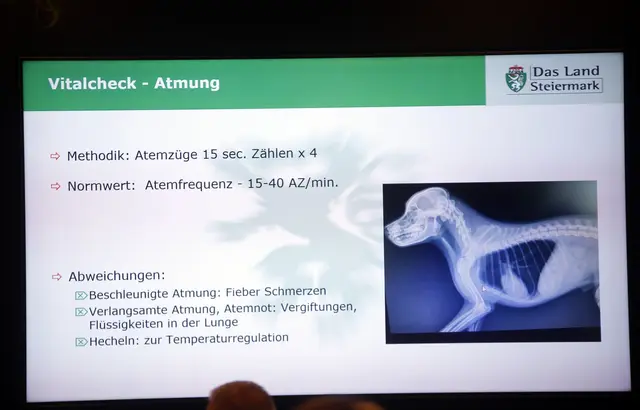 Foto: Andreas Tauser