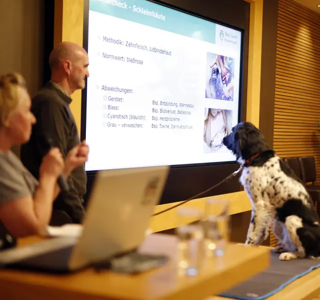 Foto: Andreas Tauser