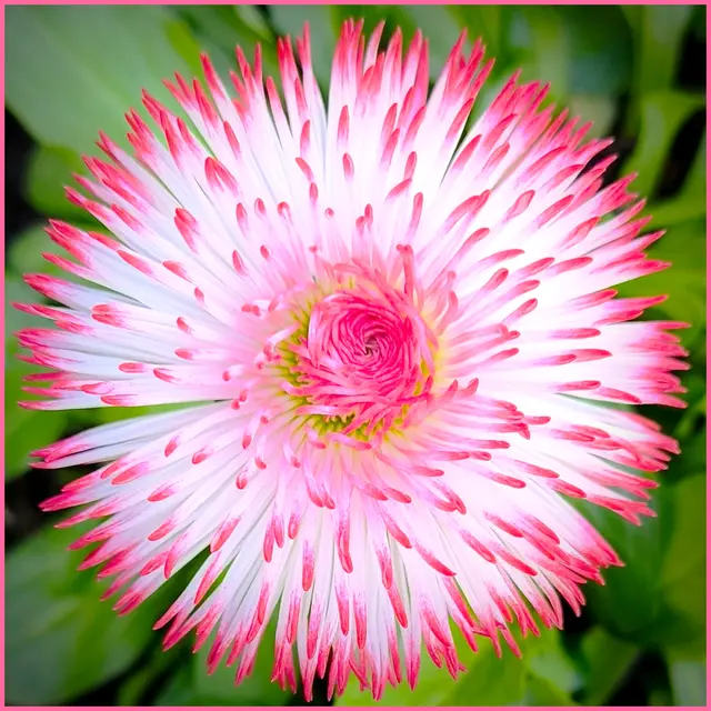 Ich wünsche euch noch einen schönen Abend ✨ | Foto: Martina Laserer