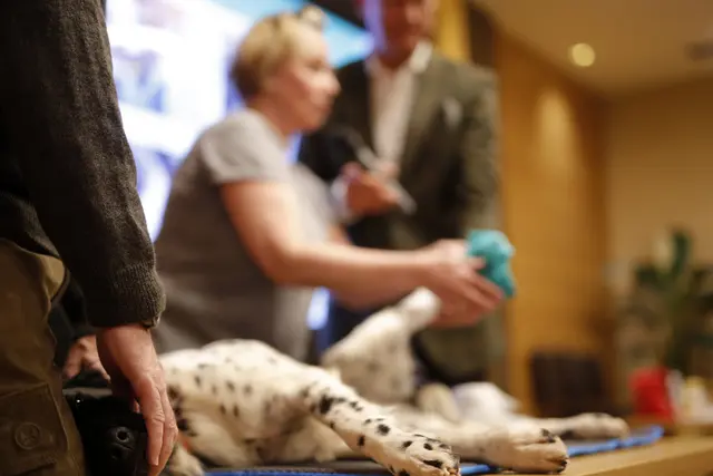 Foto: Andreas Tauser