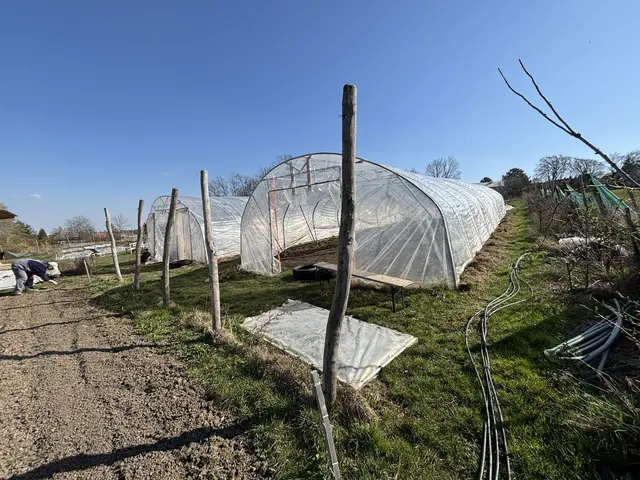 Die Marktgärtnerei "Wurzel aus zwei" liegt am Schirgenwald in Perchtoldsdorf | Foto: Mathias Kautzky/MeinBezirk