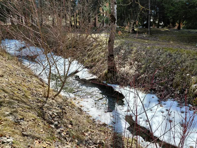 Unter dem Eis fließt das Wasser!
 | Foto: H.Bachinger
