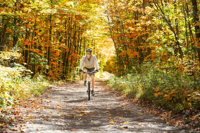 Radfahren wirkt sich positiv auf die Gesundheit aus. | Foto: Pexels