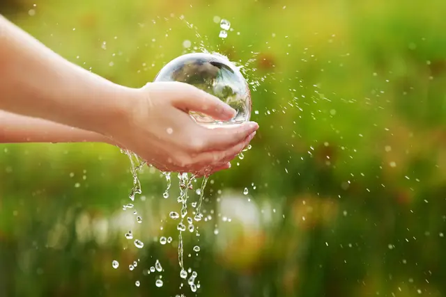 Wir haben es mit in der Hand, ob wir über einen gesunden Wasserkreislauf verfügen.  | Foto: Münzer