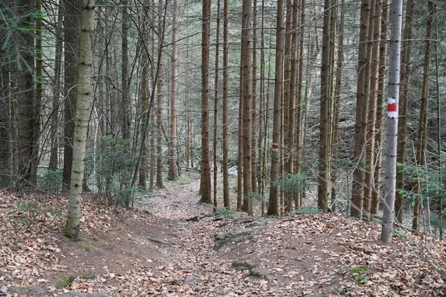Wanderweg wieder zurück