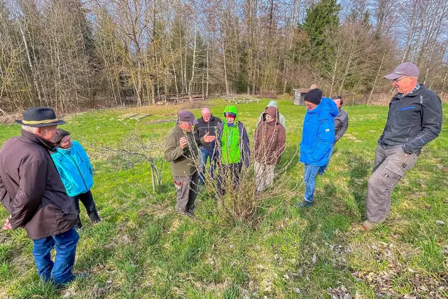 Foto: Markus Zechbauer/zema-medien.de