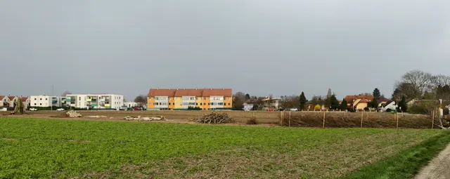 An beiden Enden des Ackerstreifens entstanden die von den Kindern gebauten Oasen. | Foto: Christian Nowotny