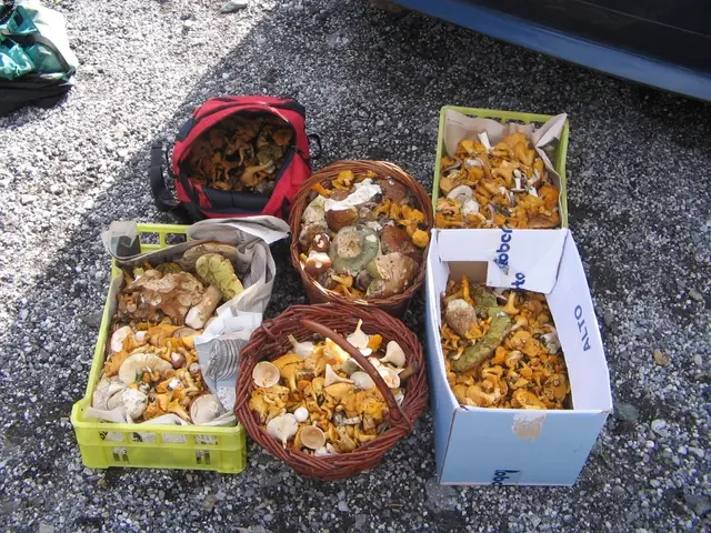 2 kg pro Person und Tag sind erlaubt | Foto: TBW Est. Stubai