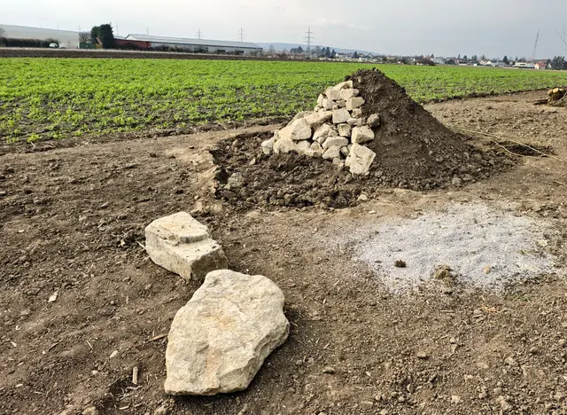 Der Steinhaufen ist ein Rückzugsort für Reptilien und Amphibien. | Foto: Christian Nowotny