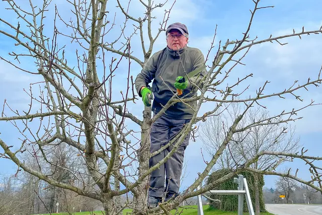 Foto: Markus Zechbauer/zema-medien.de