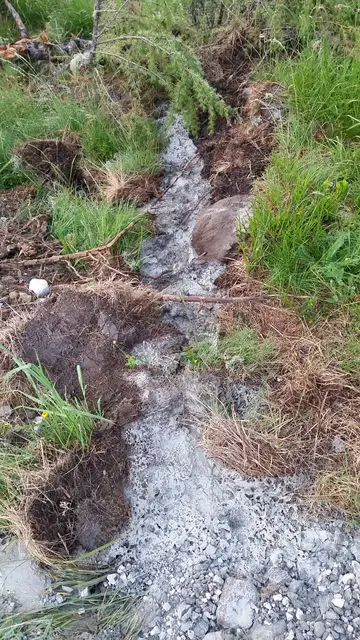 illegale Betonablagerung im Feuchtgebiet | Foto: TBW Est. Stubai