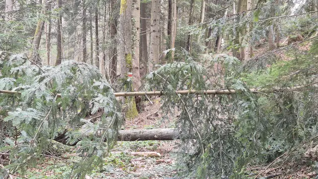 ... aber mit Hindernissen , unten durch und oben drüber