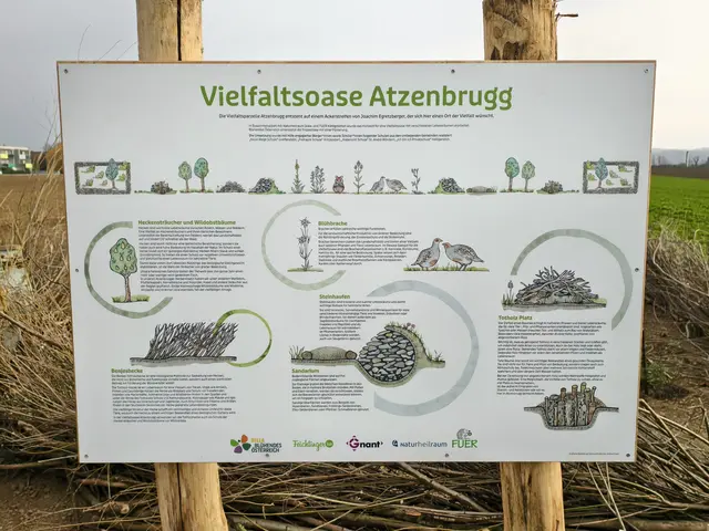 An beiden Seiten der Vielfaltsoase finden sich Informationstafeln. | Foto: Christian Nowotny
