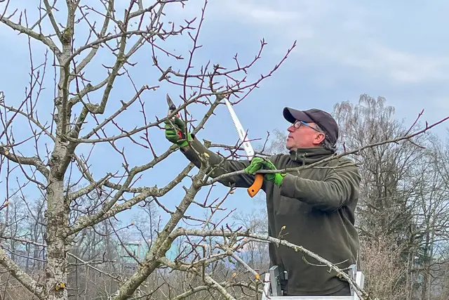 Foto: Markus Zechbauer/zema-medien.de