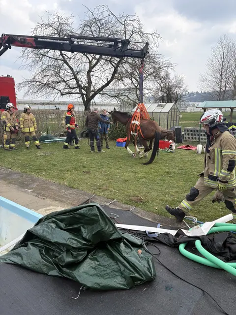 Sanfte Landung auf der Wiese. | Foto: Berufsfeuerwehr Graz