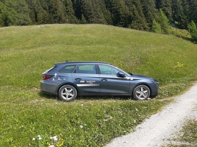 illegales Befahren von Forstwegen und Parken auf 1600 m Seehöhe | Foto: TBW Est. Stubai