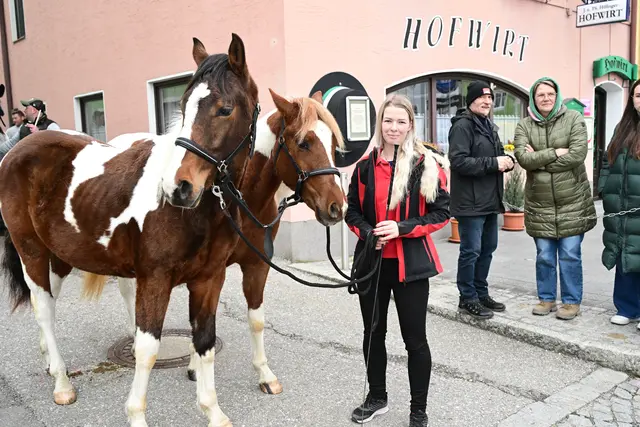 Diese zwei Schecken kamen im Doppelpack nach Obernberg. | Foto: Thomas Fischer