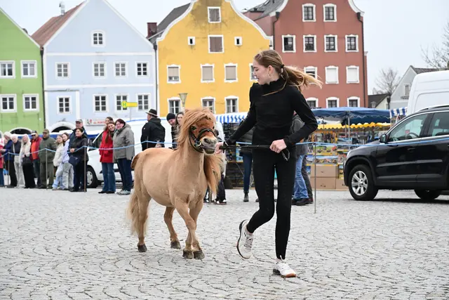 Foto: Thomas Fischer